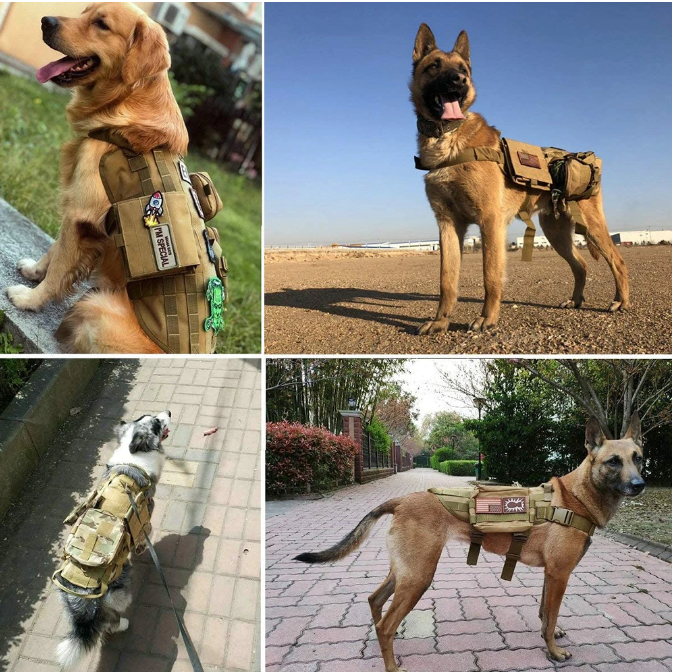 K9 Tactical Patch Bundle For Dog Vest Harness or Collar